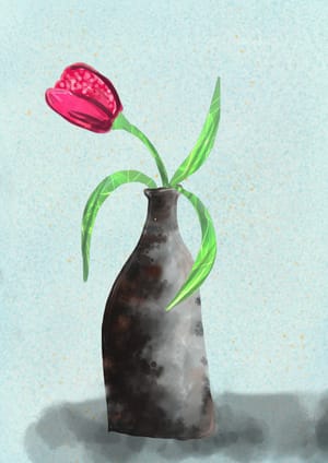 Tulipan1
